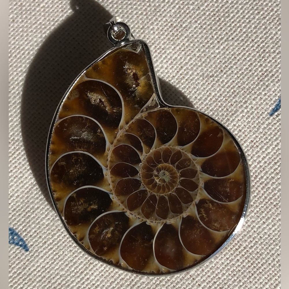 Ammonite Pendant